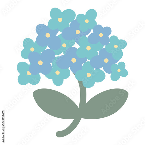 hydrangea icon