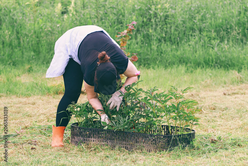 A girl is tending flowers in garden