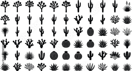Cactus and succulent plant silhouette icons set for desert landscape design and botanical graphic element collection
