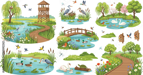 Foto Wetland nature reserve vector set with ponds, wild birds, swans, ducks, herons,