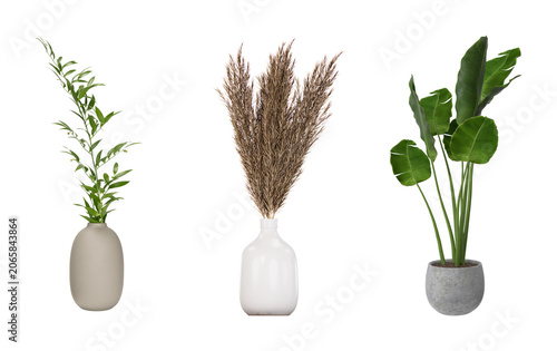 Three different indoor potted plants in minimalist vases with houseplant greenery decoration interior botanical minimalist