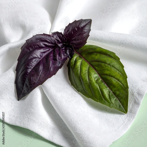 Fresh purple eggplant slices on white plate.