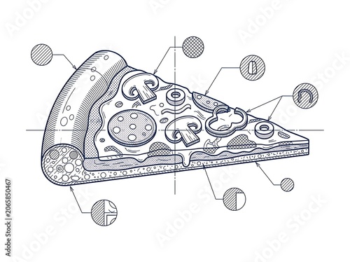 Detailed anatomical illustration of human brain structure.
