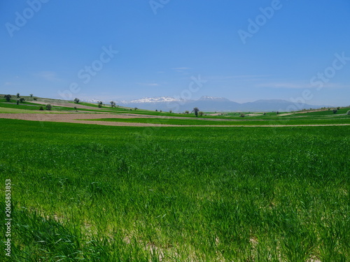 Slika na platnu Fields from turkey middle anatolia spring time