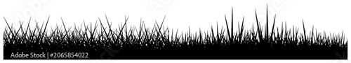 Fotografía Grass field silhouette border with sharp blades in minimalist style
