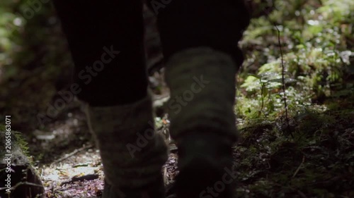 Hiker walking through a mossy forest trail