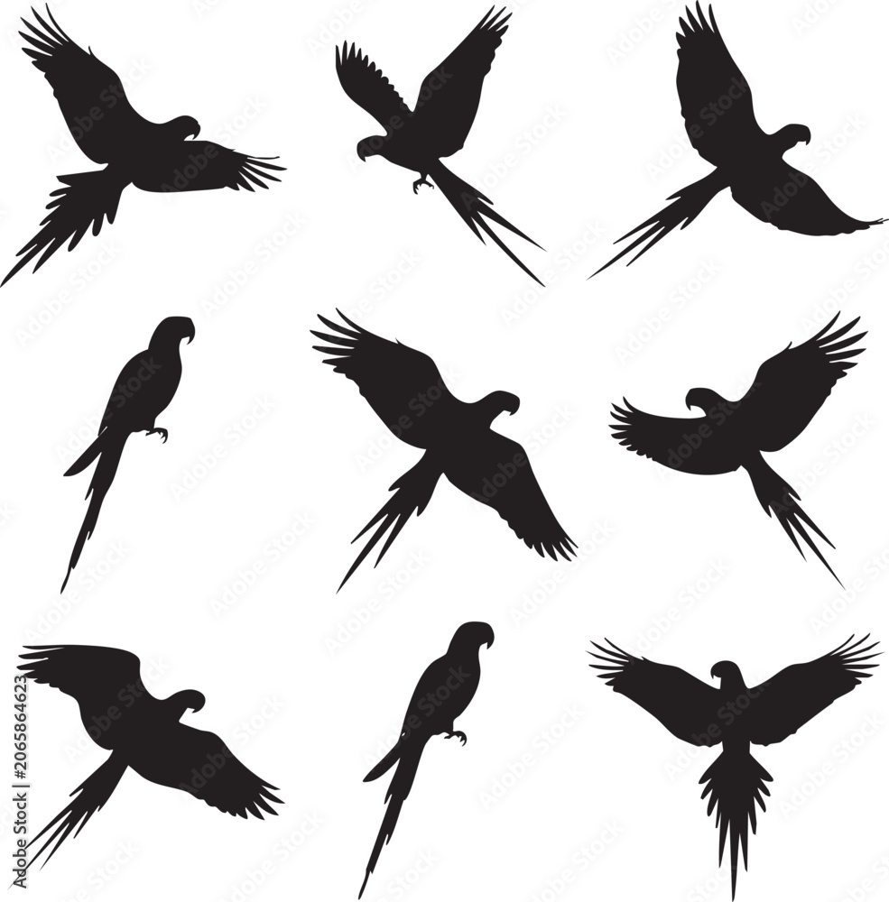 Fototapeta premium Parrot Silhouette Vector Collection: High-Quality Bird Graphics for Design Projects