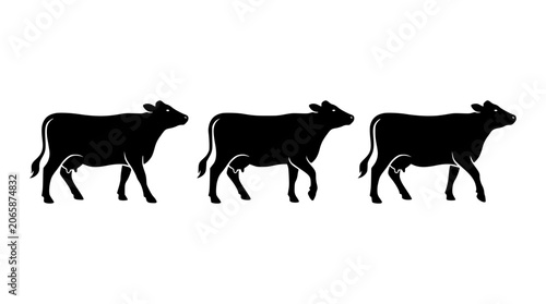 Fotografía Walking cows group black silhouette farm animals set vector illustration isolate