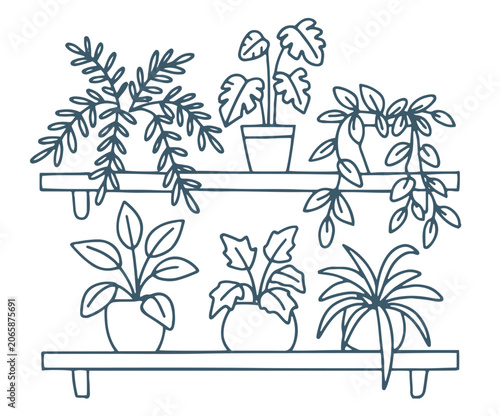 A minimalist line art illustration of two shelves with six potted plants in dark blue on a white background. Doodle