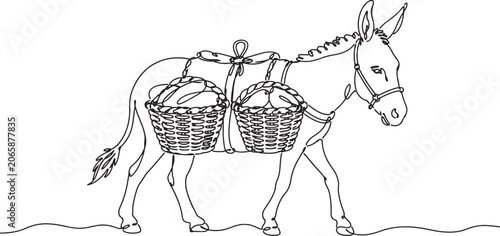 Foto donkey with two wicker baskets on its back