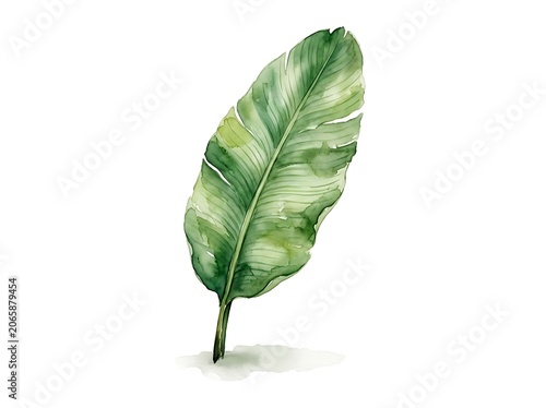 Fresh green leafy vegetable plant in pot.