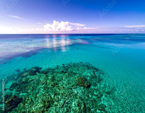 Aerial view of tropical coral reef ecosystem.