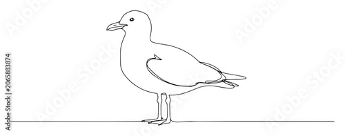 Fotografie seagull standing still in black and white line art