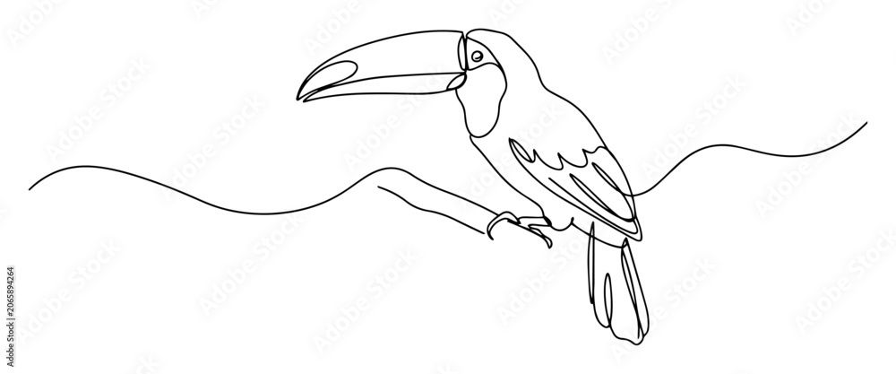 Fototapeta premium toucan perched on branch engraving oneline vector