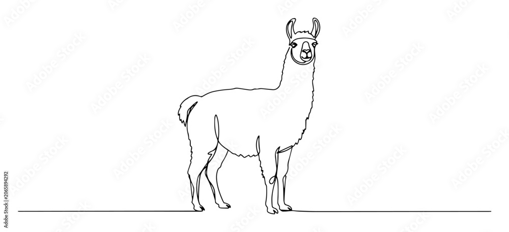 Fototapeta premium llama standing side profile black vector thin line on white background