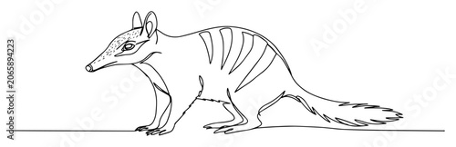 Foto numbat australian marsupial engraving oneline vector