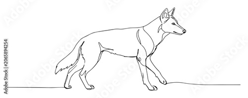 Bild auf Leinwand dingo australian wild dog side view monoline vector