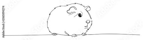 Fotografie guinea pig sitting cute rodent monoline vector