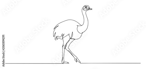 Принти на полотні ostrich standing bird side profile black vector thin line on white background