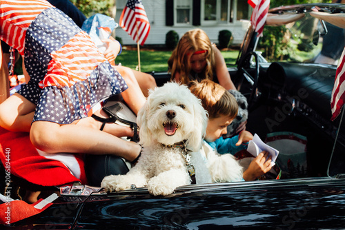 Dog and kids in 4th of July Parade