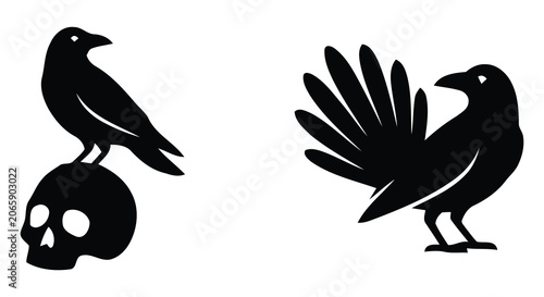 Konstfotografi Black raven perched on a human skull and standing raven silhouette against a whi