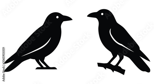 Konstfotografi Two black raven silhouettes facing each other a graphic representation with a tr