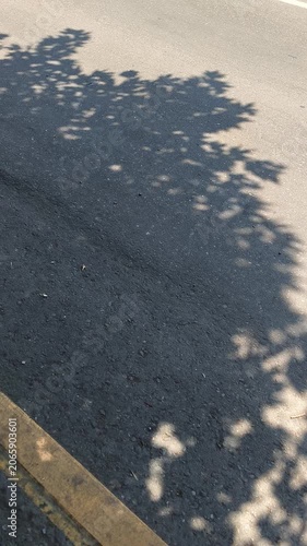 shadows of tree leaves on grey asphalt road moving with yellow line and swaying in the wind, vertical video background