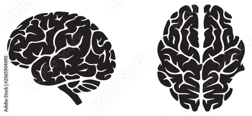 human brain vector illustration