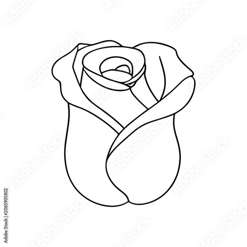 Rose flower line drawing on a white background