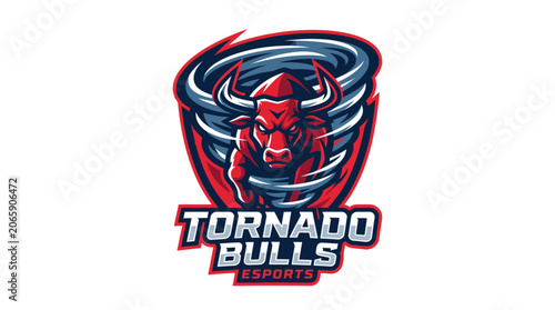 Tableau sur toile Tornado Bulls Logo Design Concept.