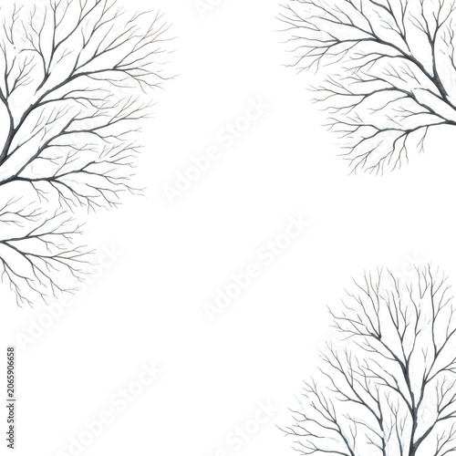 Intricate white tree branches forming a decorative frame isolated on transparent background