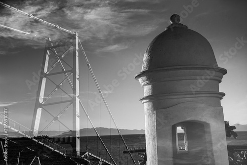 Hercílio Luz Bridge framed by tree leaves on a sunny day in Florianópolis, Santa Catarina, Brazil
