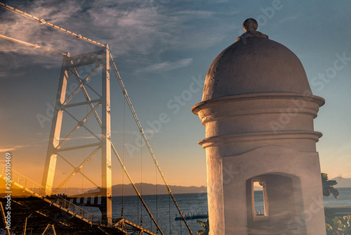 Hercílio Luz Bridge framed by tree leaves on a sunny day in Florianópolis, Santa Catarina, Brazil