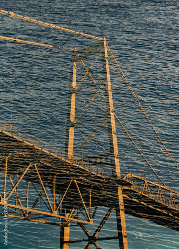 Hercílio Luz Bridge framed by tree leaves on a sunny day in Florianópolis, Santa Catarina, Brazil