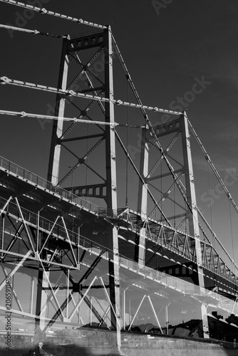 Hercílio Luz Bridge framed by tree leaves on a sunny day in Florianópolis, Santa Catarina, Brazil