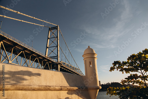 Hercílio Luz Bridge framed by tree leaves on a sunny day in Florianópolis, Santa Catarina, Brazil