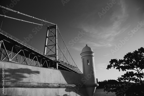 Hercílio Luz Bridge framed by tree leaves on a sunny day in Florianópolis, Santa Catarina, Brazil
