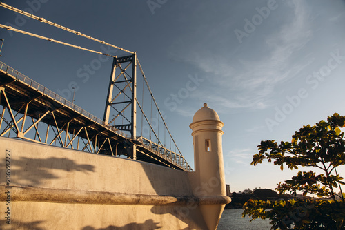 Hercílio Luz Bridge framed by tree leaves on a sunny day in Florianópolis, Santa Catarina, Brazil