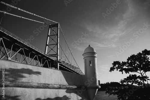 Hercílio Luz Bridge framed by tree leaves on a sunny day in Florianópolis, Santa Catarina, Brazil