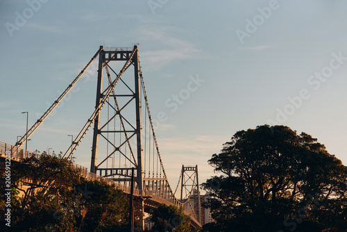 Hercílio Luz Bridge framed by tree leaves on a sunny day in Florianópolis, Santa Catarina, Brazil