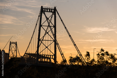 Hercílio Luz Bridge framed by tree leaves on a sunny day in Florianópolis, Santa Catarina, Brazil
