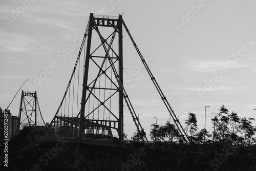 Hercílio Luz Bridge framed by tree leaves on a sunny day in Florianópolis, Santa Catarina, Brazil