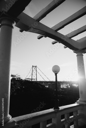 Hercílio Luz Bridge framed by tree leaves on a sunny day in Florianópolis, Santa Catarina, Brazil