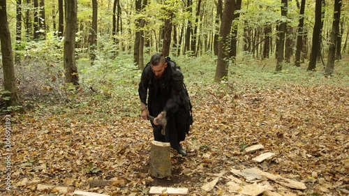 Viking seafarer, Dark attire, Nordic woods. Amidst autumn forest, Viking man with beard and dark outfit is chopping wood with axe.