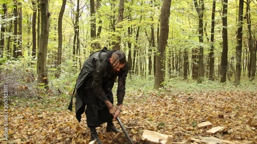 Cutting timber, Viking activity, Forest work. Autumn forest surrounds bearded Viking in dark clothes as he chops wood with axe.