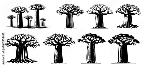 Schilderij op canvas Baobab tree collection from African landscape in vintage woodcut engraving style