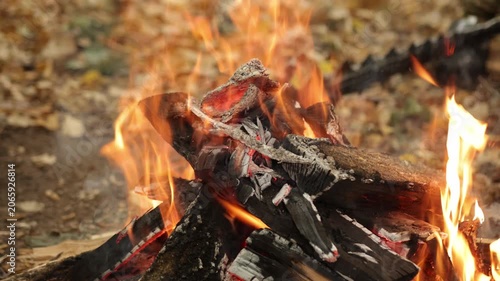 Outdoor fire, Ember heat, Campfire embers. Close-up depicts roaring campfire with burning wood and glowing embers, radiating warmth and light outdoors.
