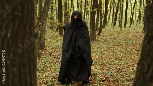 Fallen leaves, Shadowy figure, Forest wanderer. Amidst serene autumn forest, black-cloaked individual stands among lofty trees and blanket of fallen foliage.