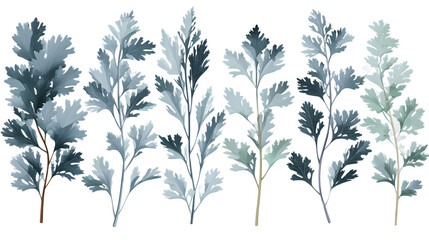 Artistic Arrangement of Parsley Leaves in Various Greens on Transparent Background