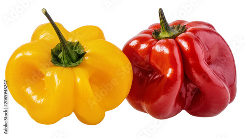 Canvastavla Isolated vibrant yellow and red Scotch Bonnet peppers, fresh exotic produce for cooking